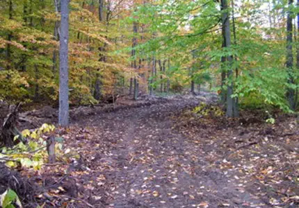 Gravel Driveway