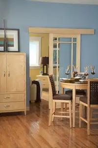 LE Johnson Wall Mount Pocket Doors