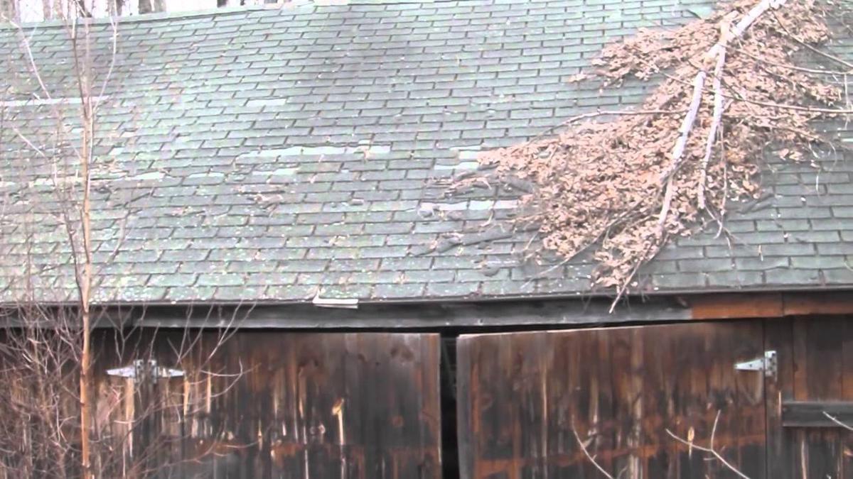 'Video thumbnail for Do I Need a New Roof 2'