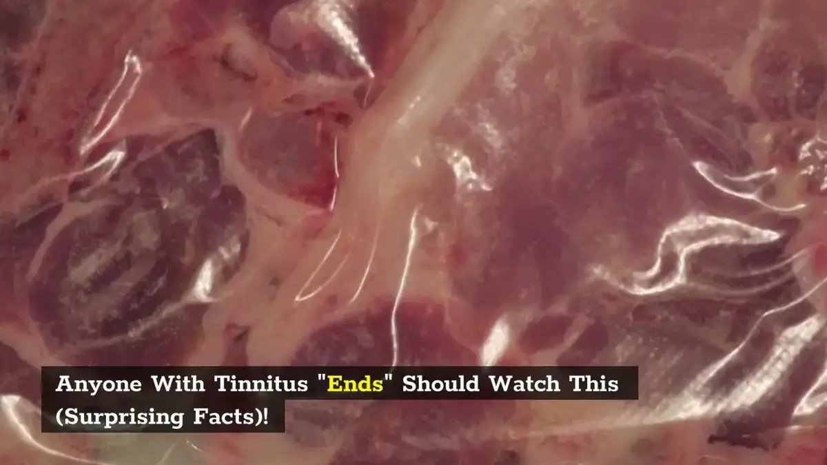 'Video thumbnail for 3 Best Commercial Vacuum Sealer Reviews on Amazon!'