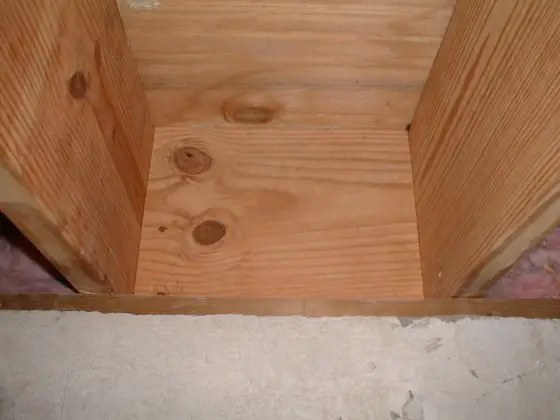 termite floor joist