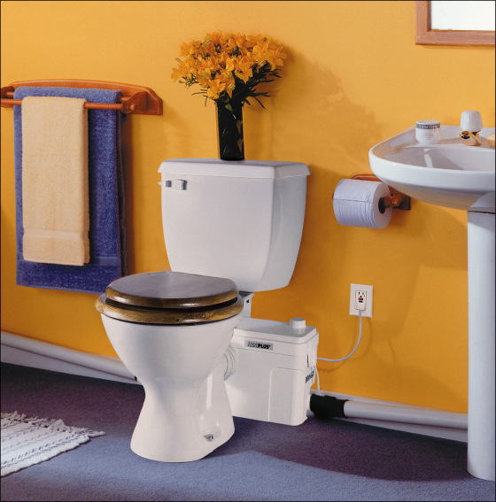 toilet that flushes up