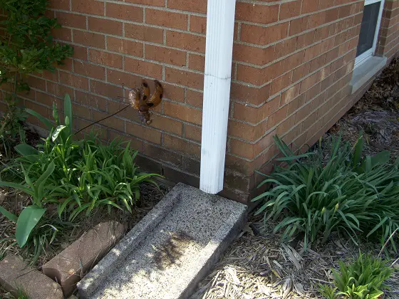 downspout emptying onto concrete splash block