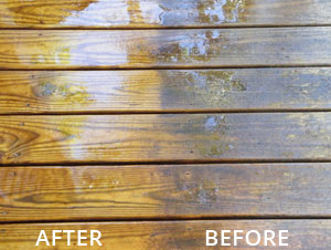 Stain Solver Deck cleaning
