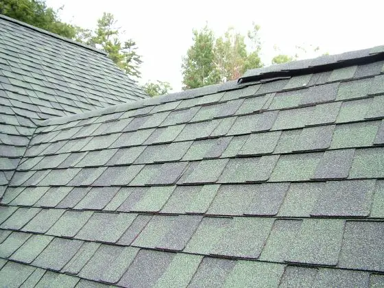 roof vent ridge