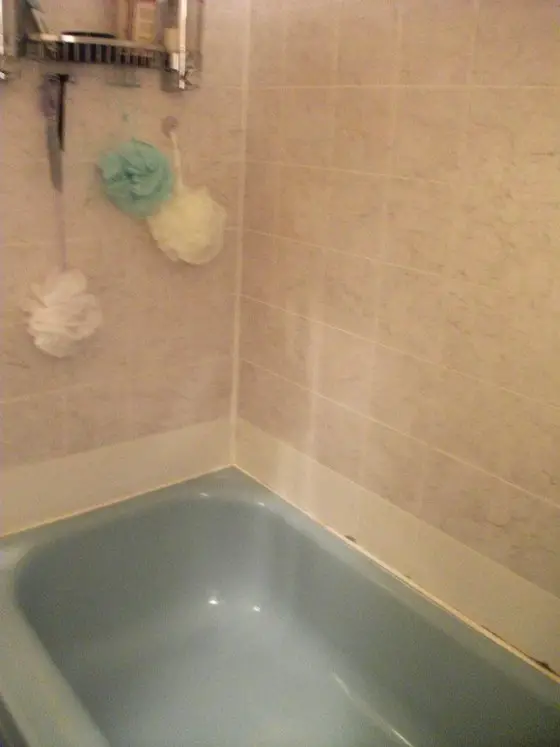 2BEFOREASBUglyBathDarlene Wetzelbathtub Ask the Builder