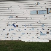 Hail Damage on siding