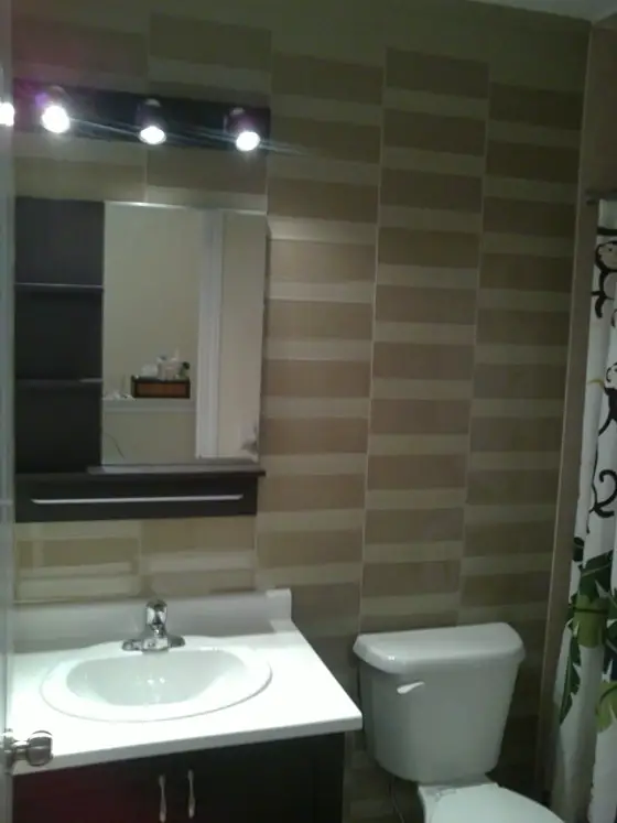 Beaker's Bathroom Facelift