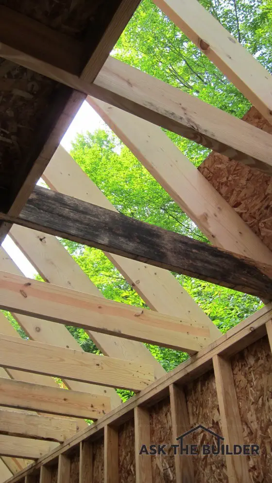 mold mildew lumber rafters