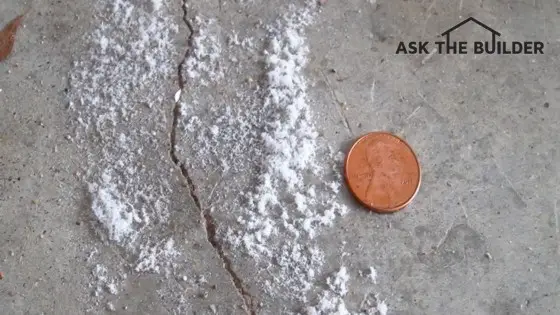 These salt crystals appeared when water evaporated from a puddle on my concrete floor. Photo Credit: Tim Carter