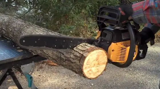 Bilderesultat for cutting christmas tree with chainsaw