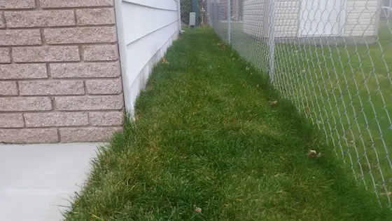 Oh my, look at how high the soil and grass is against the garage. It should be at least 9 inches LOWER! Photo credit: Gary Ennis Jr.