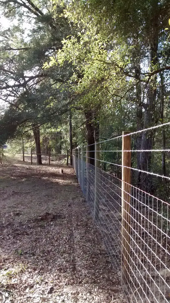 Here's Katie's new fence. It looks gorgeous! Photo credit: Katie Maguire