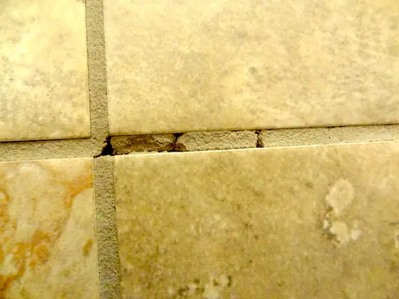 This is but one photo that Sharon sent. This is a good representation of what the grout looks like in all photos. Photo credit: Sharon Kasheva