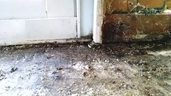 Here's the rotting mess under and next to Andy's sliding door. Photo credit: Andy Shogren