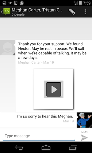 RIP Hector the Cat Text