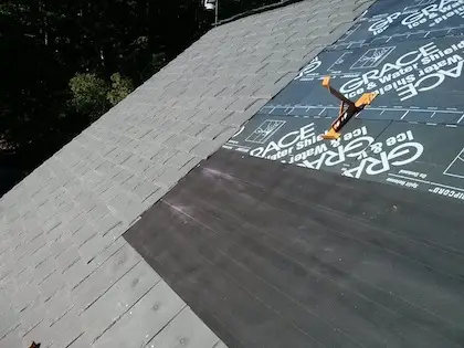 roof davinci shingles