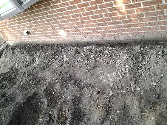 You can see the two stained rows of brick that were covered by mulch and soil. Photo credit: Laura Elsee
