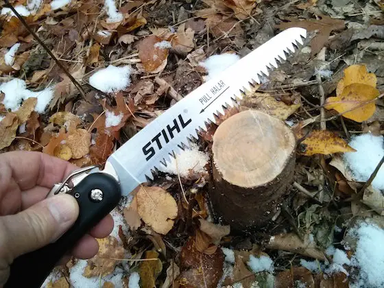 Here's the saw with teeth that remind me of a fierce dragon. You can see the stump of the tree just under the blade. Maple is hard, but no match for the STIHL PS 10. (C) Copyright 2016 Tim Carter