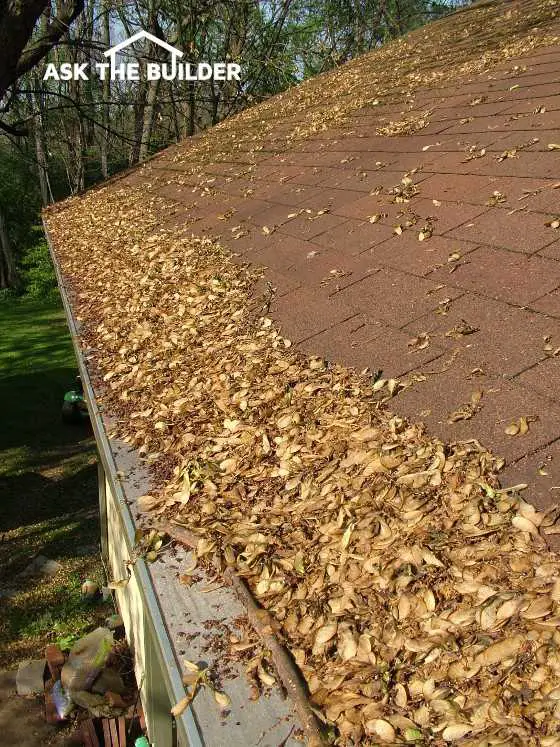 gutter guard with leaves