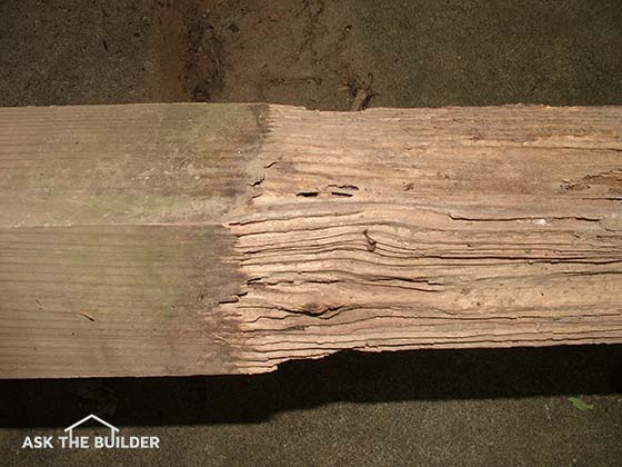 termite damage treated lumber