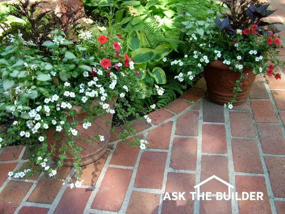 clay brick patio with flowers