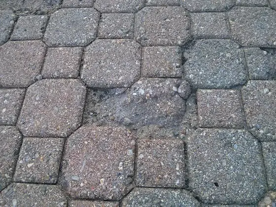 paving bricks