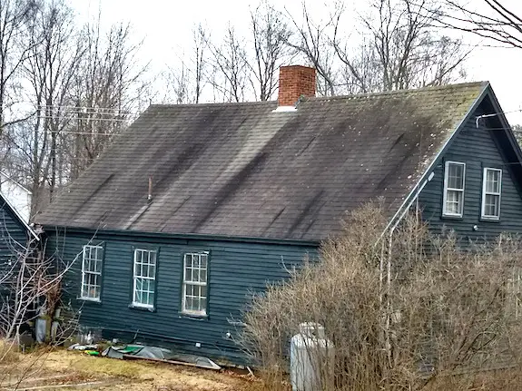 clean roof shingles