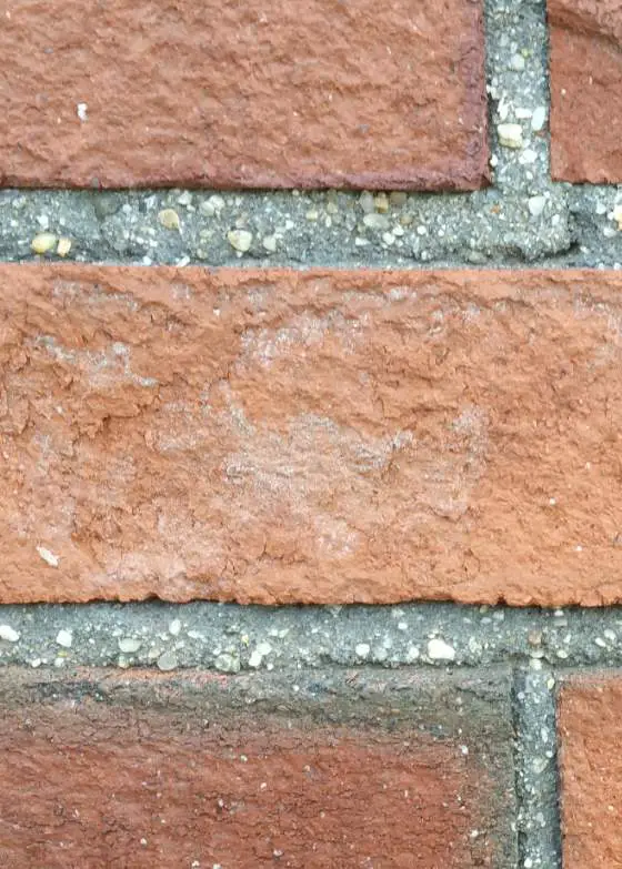 brick mortar sand