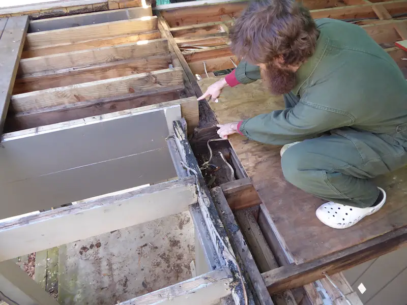 roof flat deck joists connection pointing debbie son he