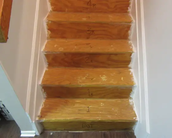 Plywood interior steps