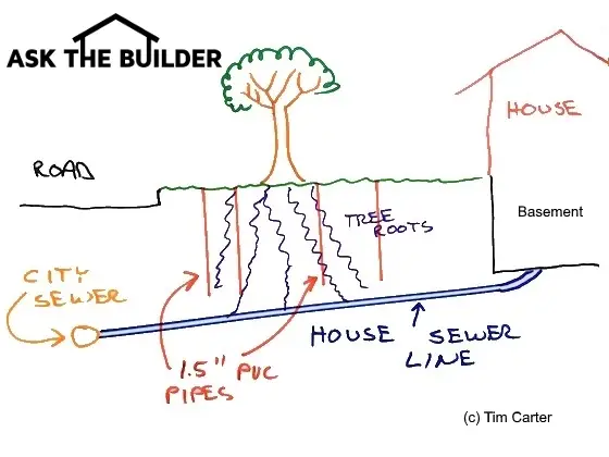 tree roots sewer line sketch