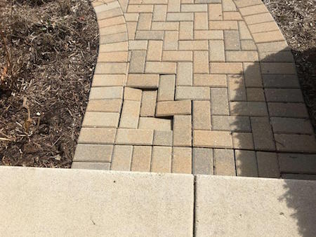 chipmunk paver tunnel