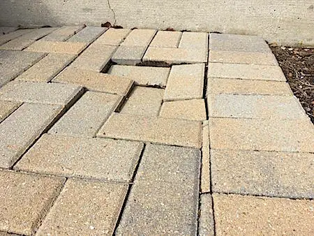 chipmunk paver damage