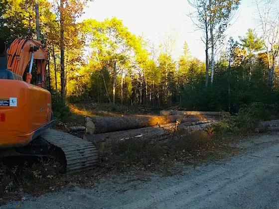 cut logs excavator