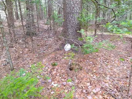 lot in Maine