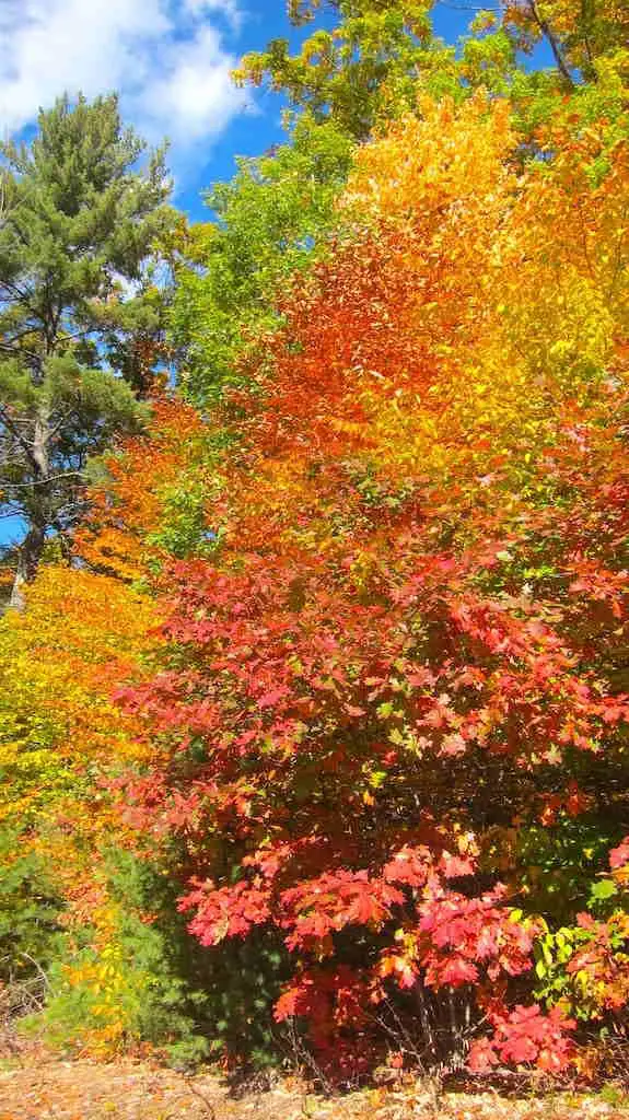 fall color new hampshire