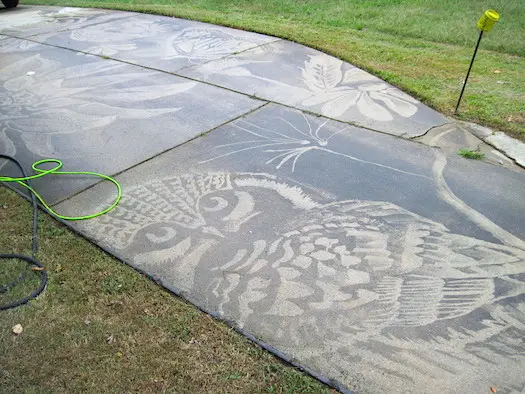 Owl in concrete patio