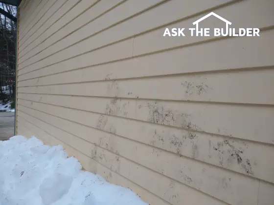 mold mildew on siding