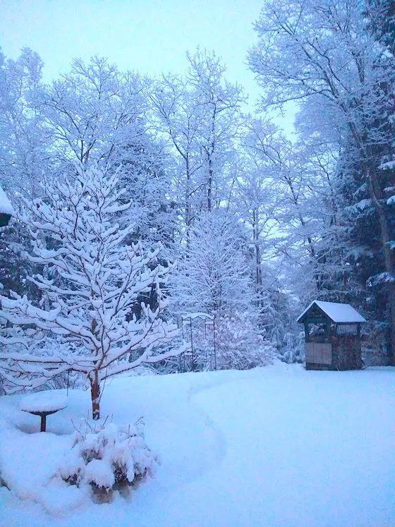 lake winnisquam snow