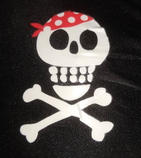 skull & crossbones