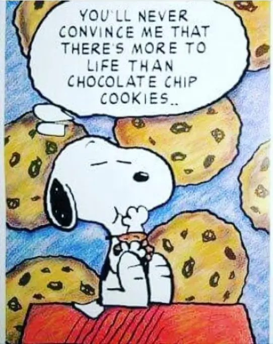 Snoopy Eating Cookie