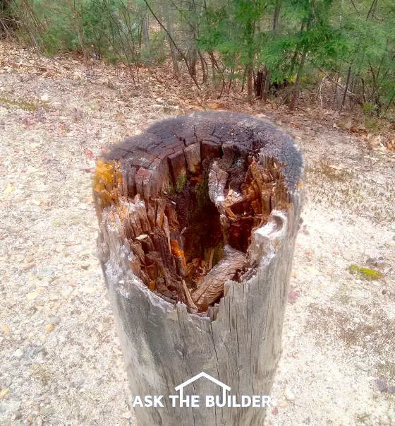 rotted treated lumber post