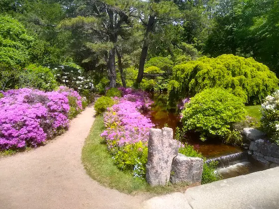 asticou gardens maine