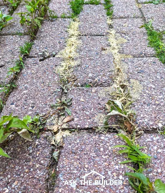 homemade weed killer brick sidewalk