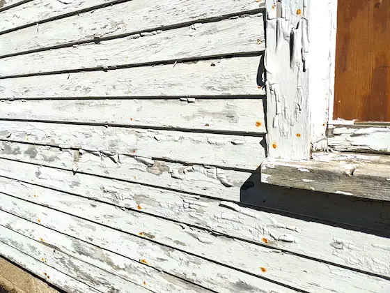 peeling exterior paint on wood siding