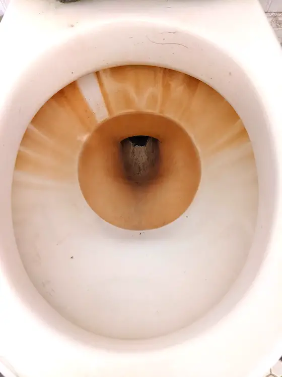 rust stain in toilet bowl