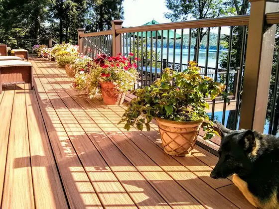 trex transcend decking