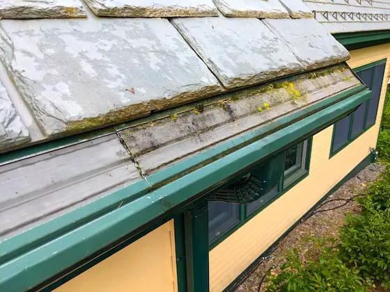 micro mesh gutter guard clogged with moss, algae, and mildew